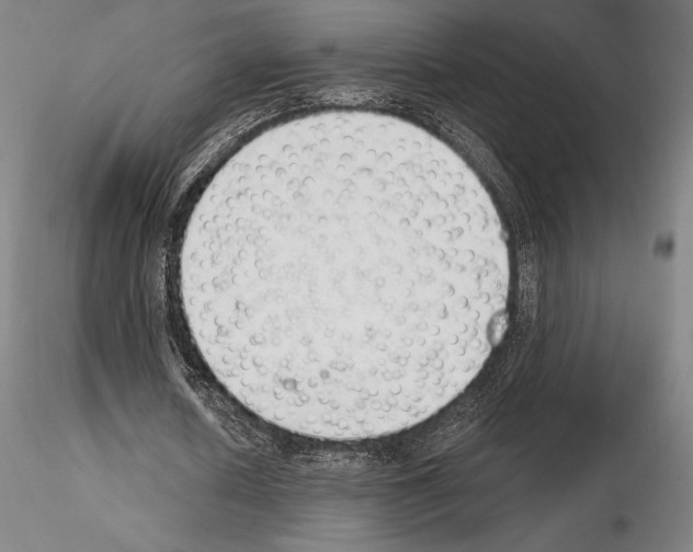 X0000114990626200912071117