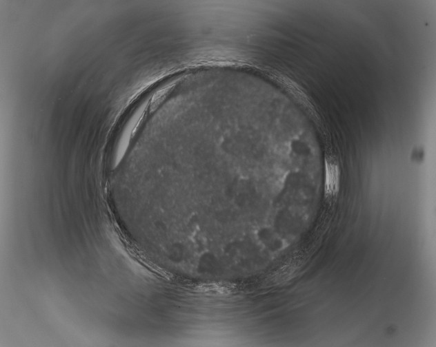 X0000114990627200912071117