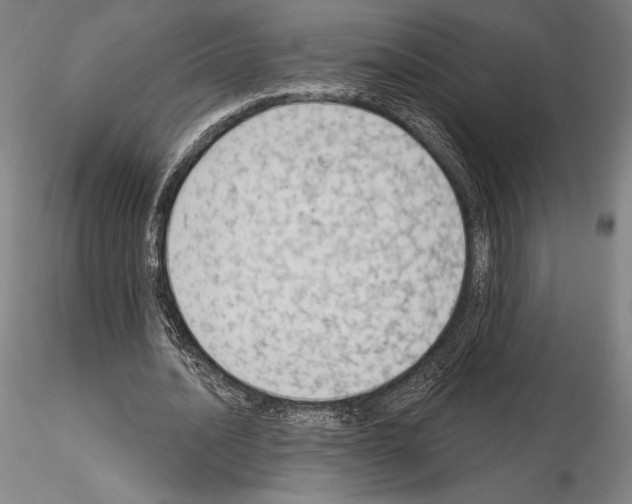 X0000114990628200912071117