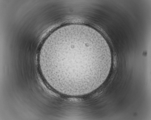 X0000114990629200912071117