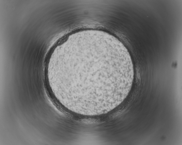 X0000114990630200912071117