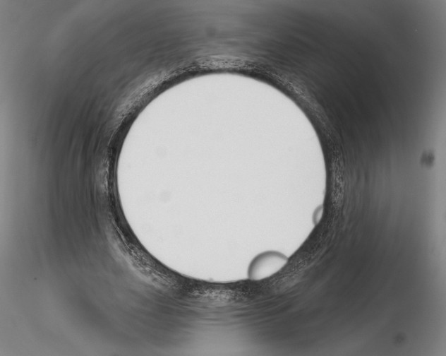 X0000114990631200912071117