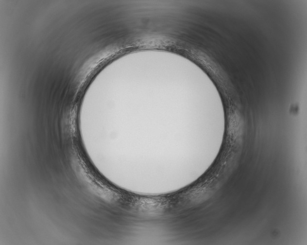 X0000114990632200912071117