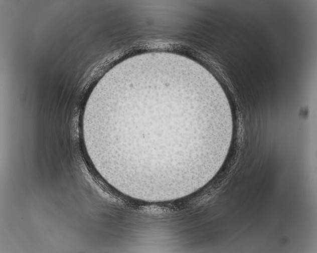 X0000114990633200912071117