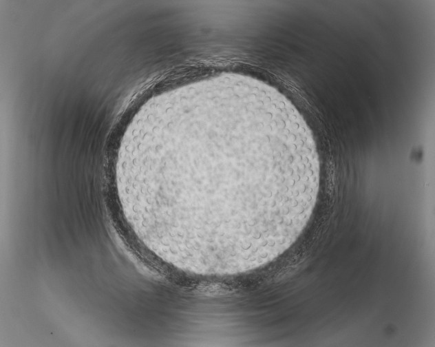 X0000114990634200912071117