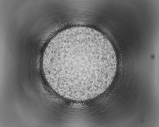 X0000114990635200912071117