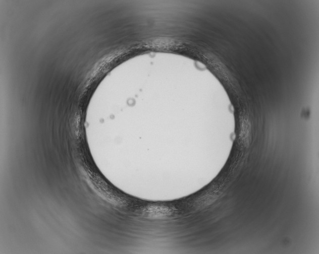 X0000114990636200912071117