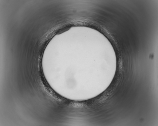 X0000114990637200912071117