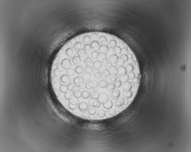 X0000114990638200912071117