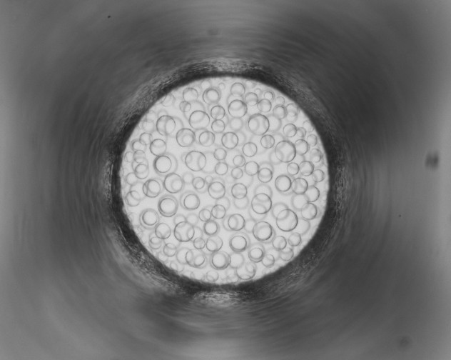 X0000114990639200912071117