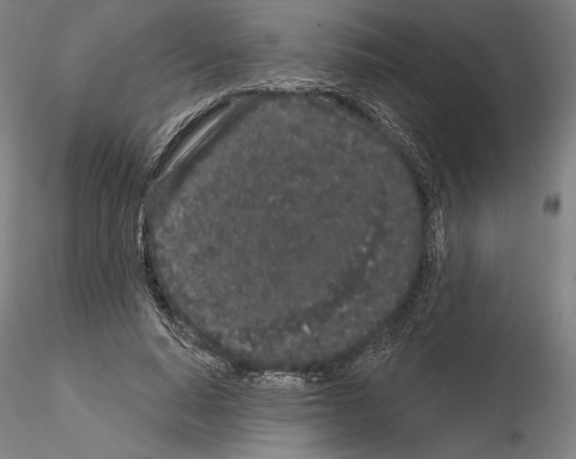 X0000114990640200912071117