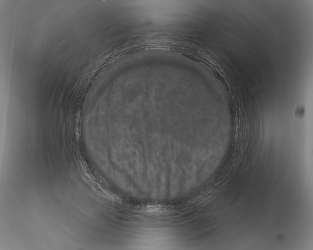 X0000114990641200912071117