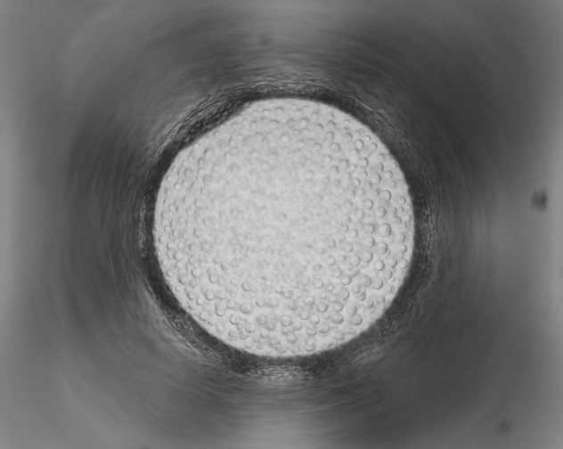 X0000114990642200912071117