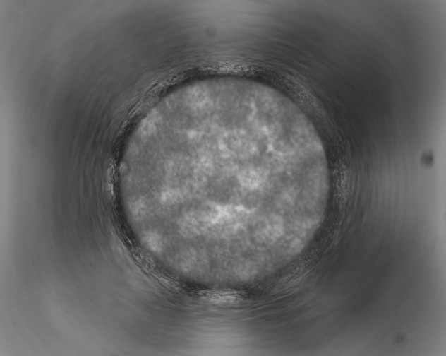 X0000114990643200912071117