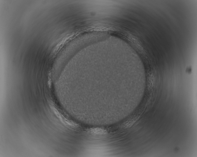 X0000114990644200912071117