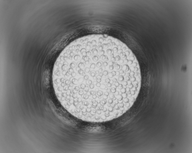 X0000114990646200912071117