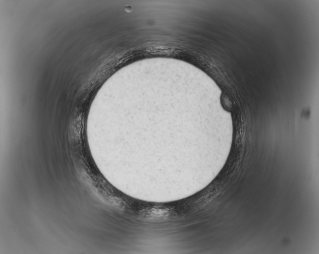 X0000114990647200912071118