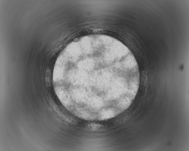 X0000114990650200912071118