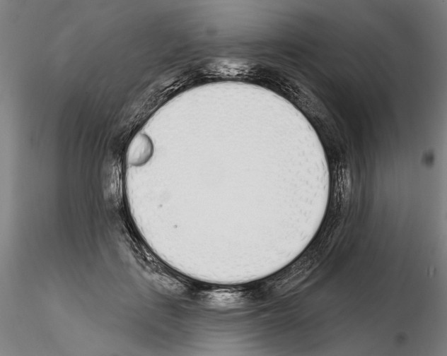 X0000114990651200912071118