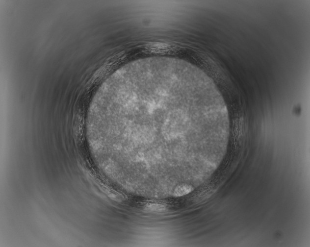 X0000114990653200912071118