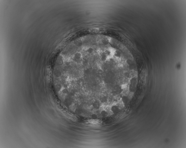 X0000114990659200912071118