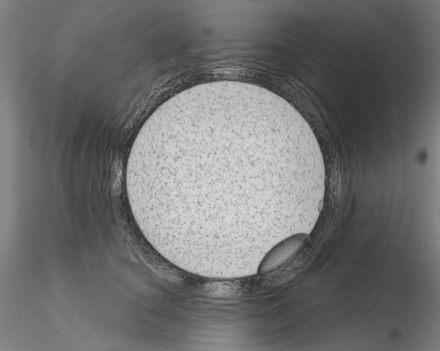 X0000114990660200912071118