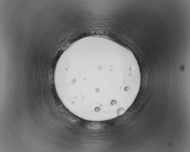 X0000114990661200912071118