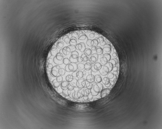 X0000114990662200912071118