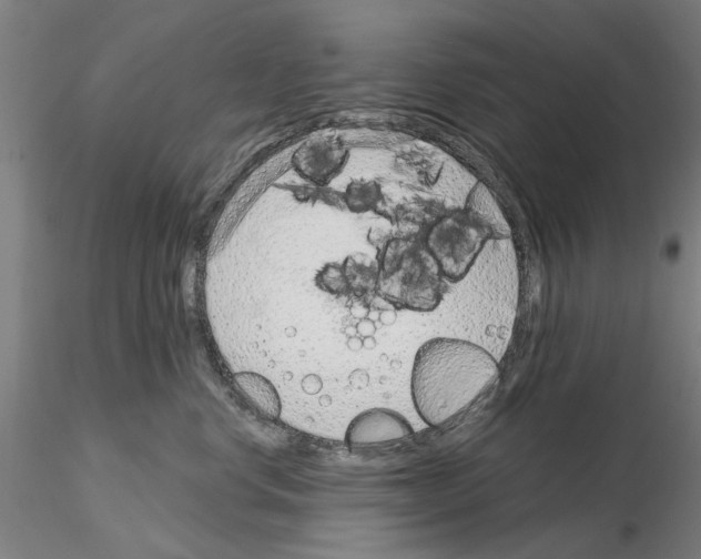 X0000114990668200912071118