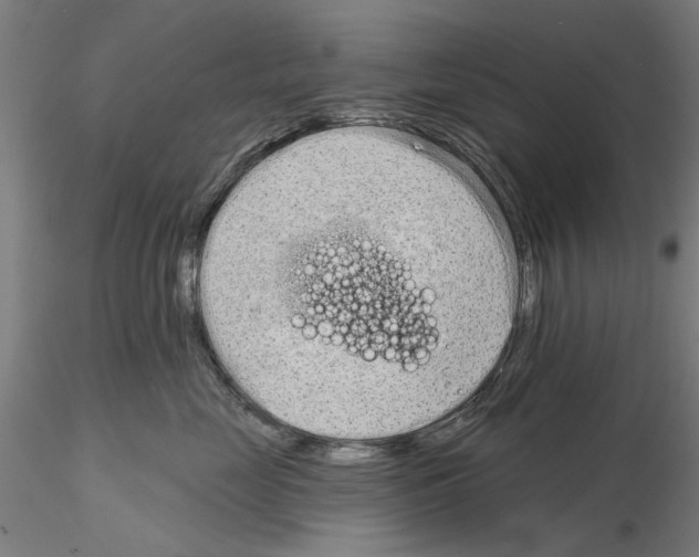 X0000114990669200912071118