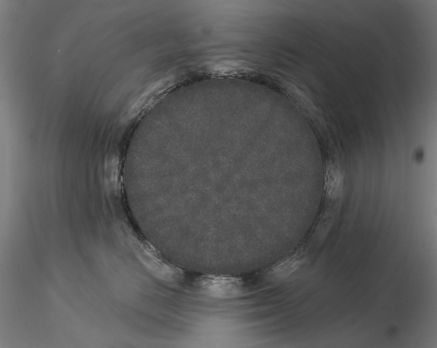 X0000114990670200912071118