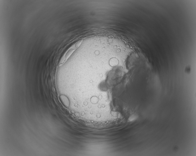 X0000114990671200912071118