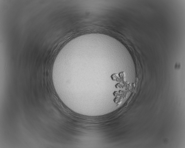 X0000114990672200912071118