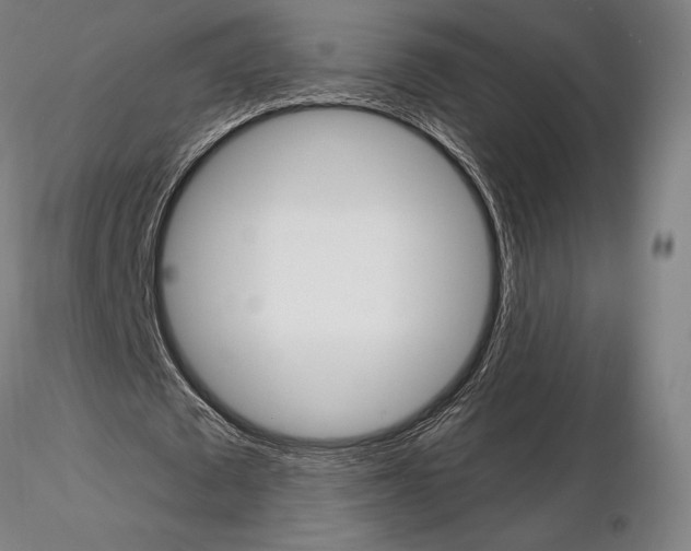 X0000114990673200912071117