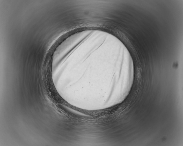 X0000114990676200912071117