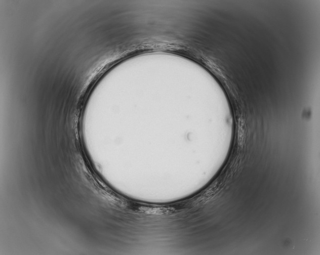 X0000114990679200912071117