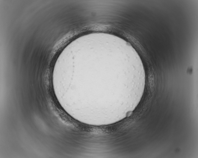 X0000114990682200912071117