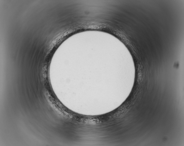 X0000114990683200912071117