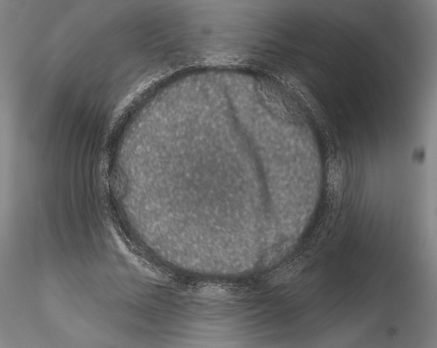 X0000114990684200912071117