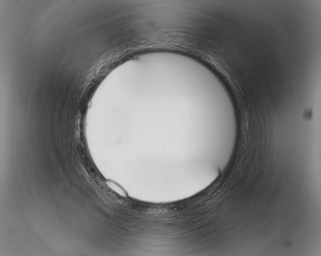 X0000114990685200912071117