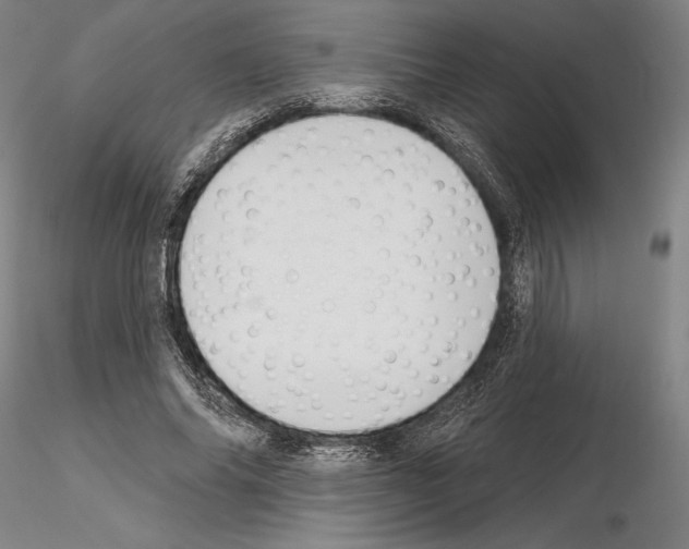 X0000114990686200912071117