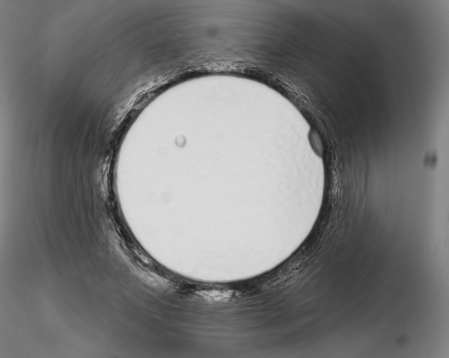 X0000114990687200912071117