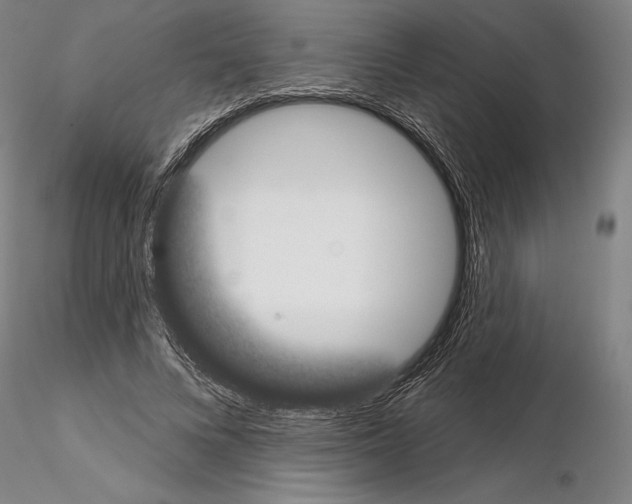 X0000114990688200912071117