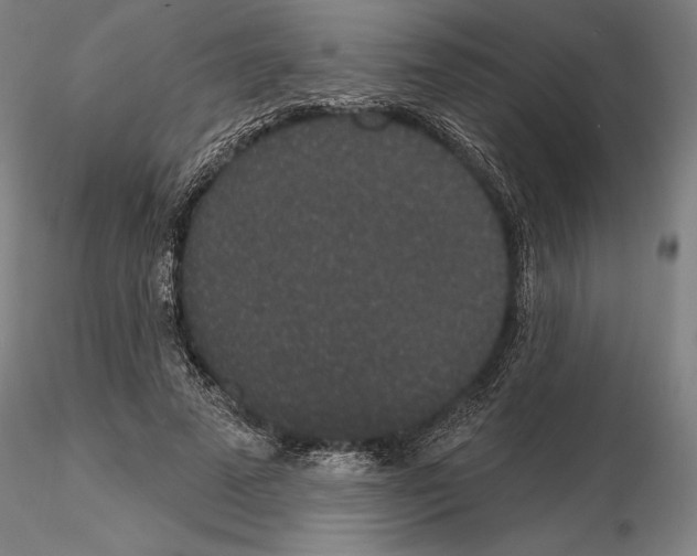 X0000114990689200912071117