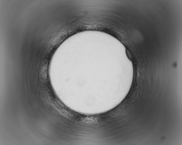 X0000114990691200912071117