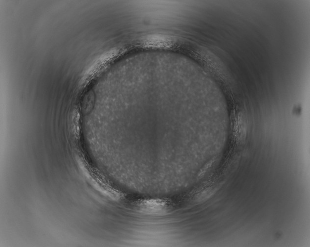 X0000114990692200912071117