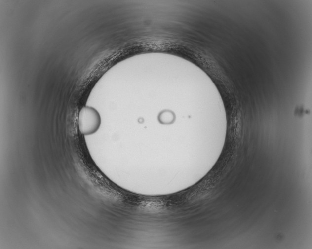 X0000114990694200912071117