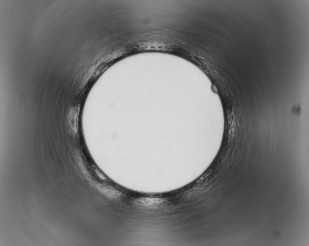 X0000114990695200912071117