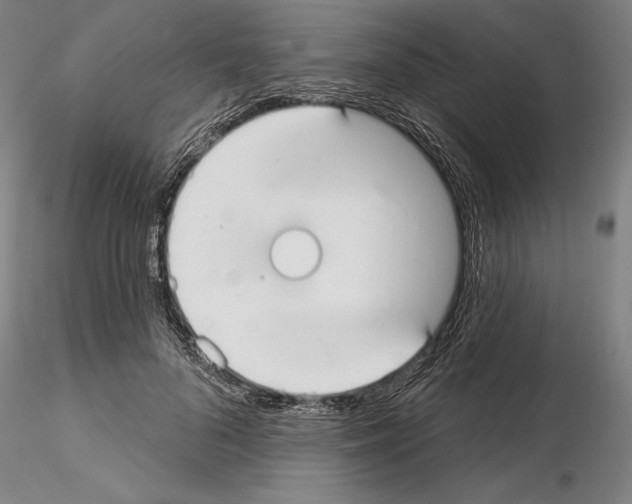 X0000114990696200912071117