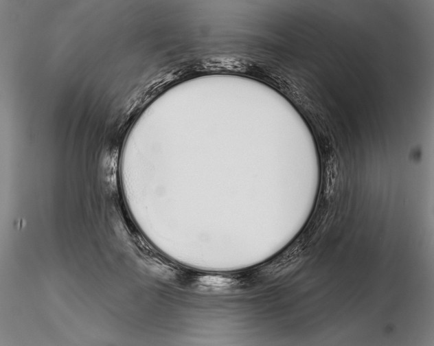 X0000114990699200912071117